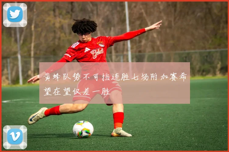 黄蜂队势不可挡连胜七场附加赛希望在望仅差一胜