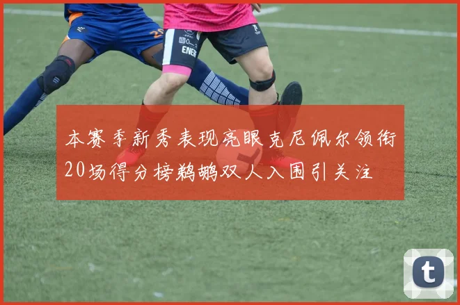 本赛季新秀表现亮眼克尼佩尔领衔20场得分榜鹈鹕双人入围引关注